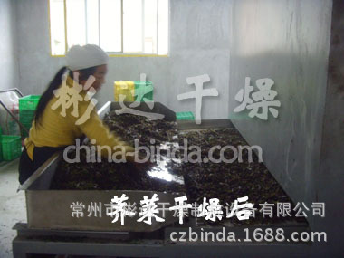 荠菜干燥后副本