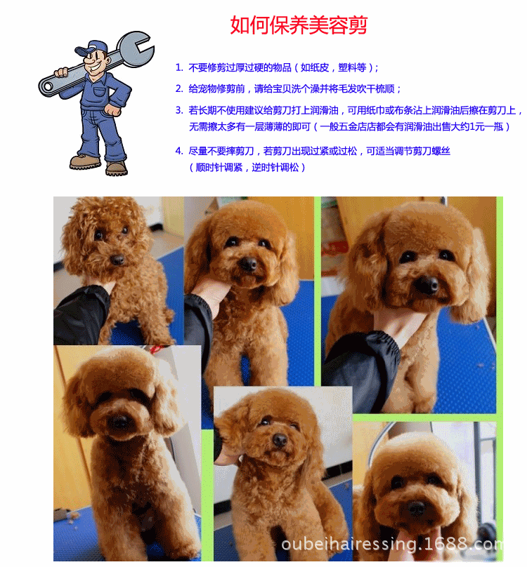 记牌_24