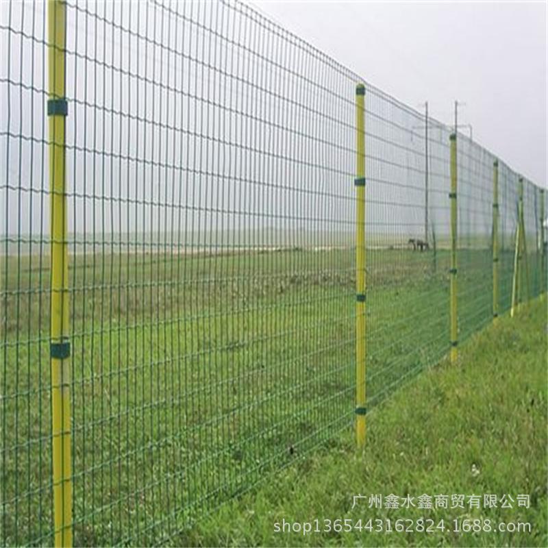 荷兰网30