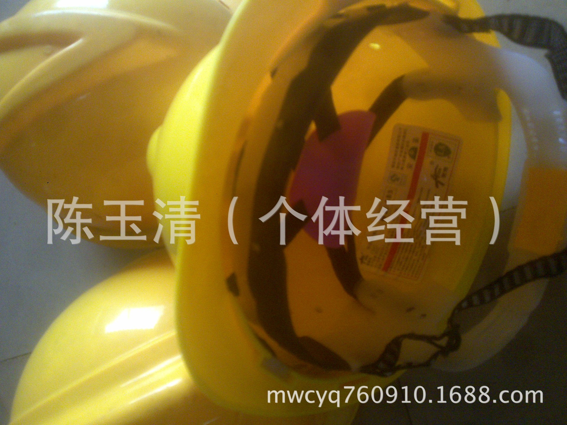 20110723486