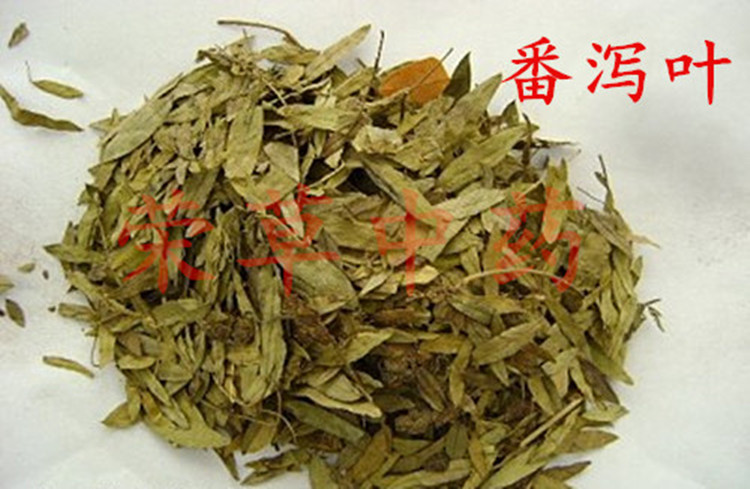 批发供应优质番泻叶/减脂叶泻热行滞 通便利水