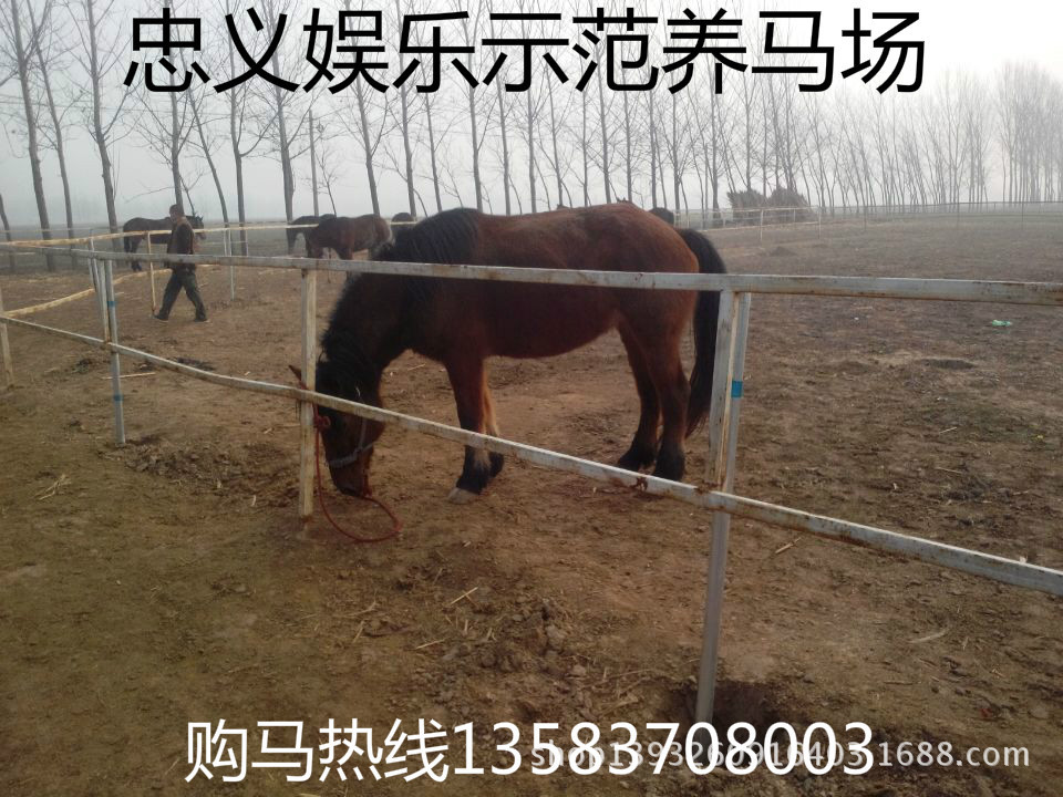 wifi0s0688965763IMG_20140222_0