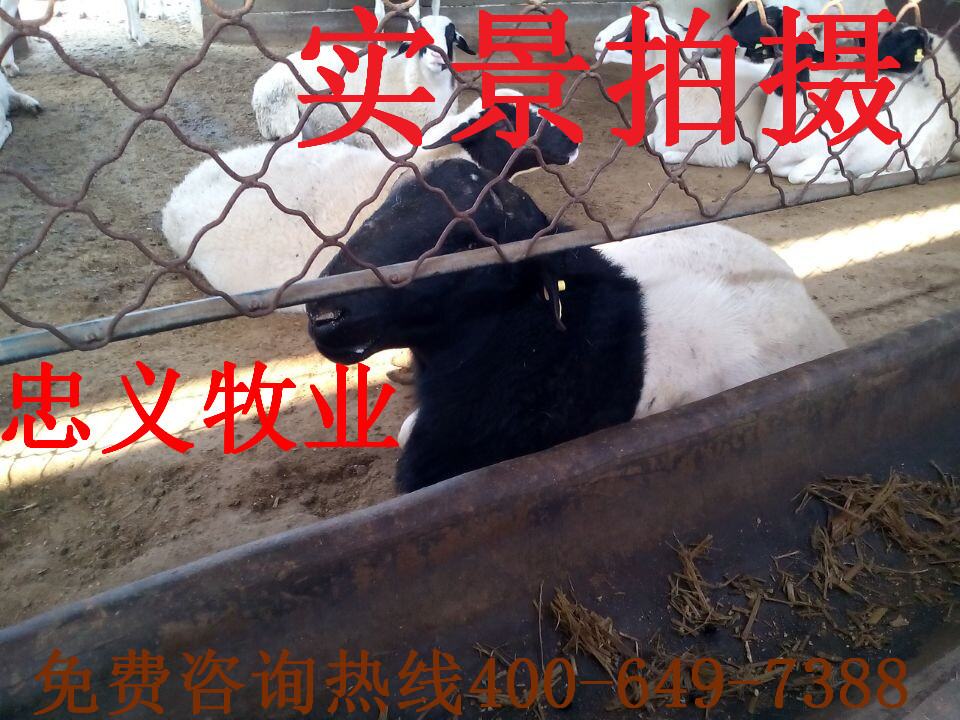 QQ图片20141109170001