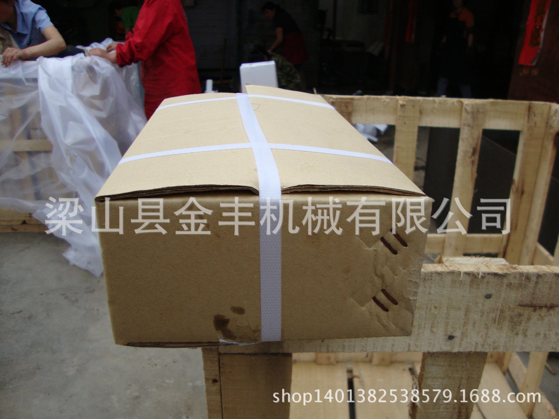 DSC01113