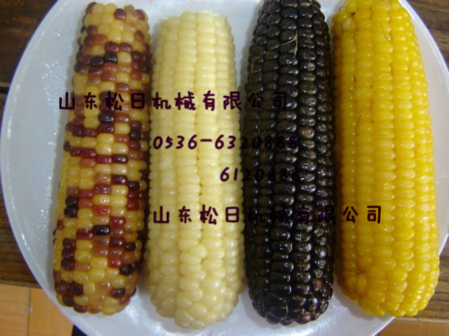 玉米2