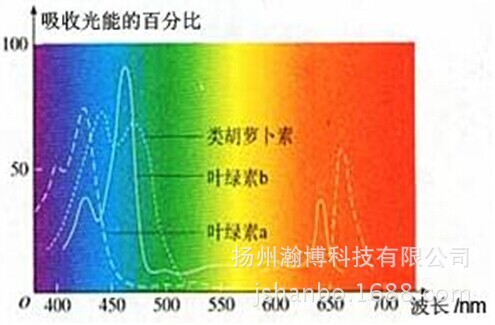 植物灯7