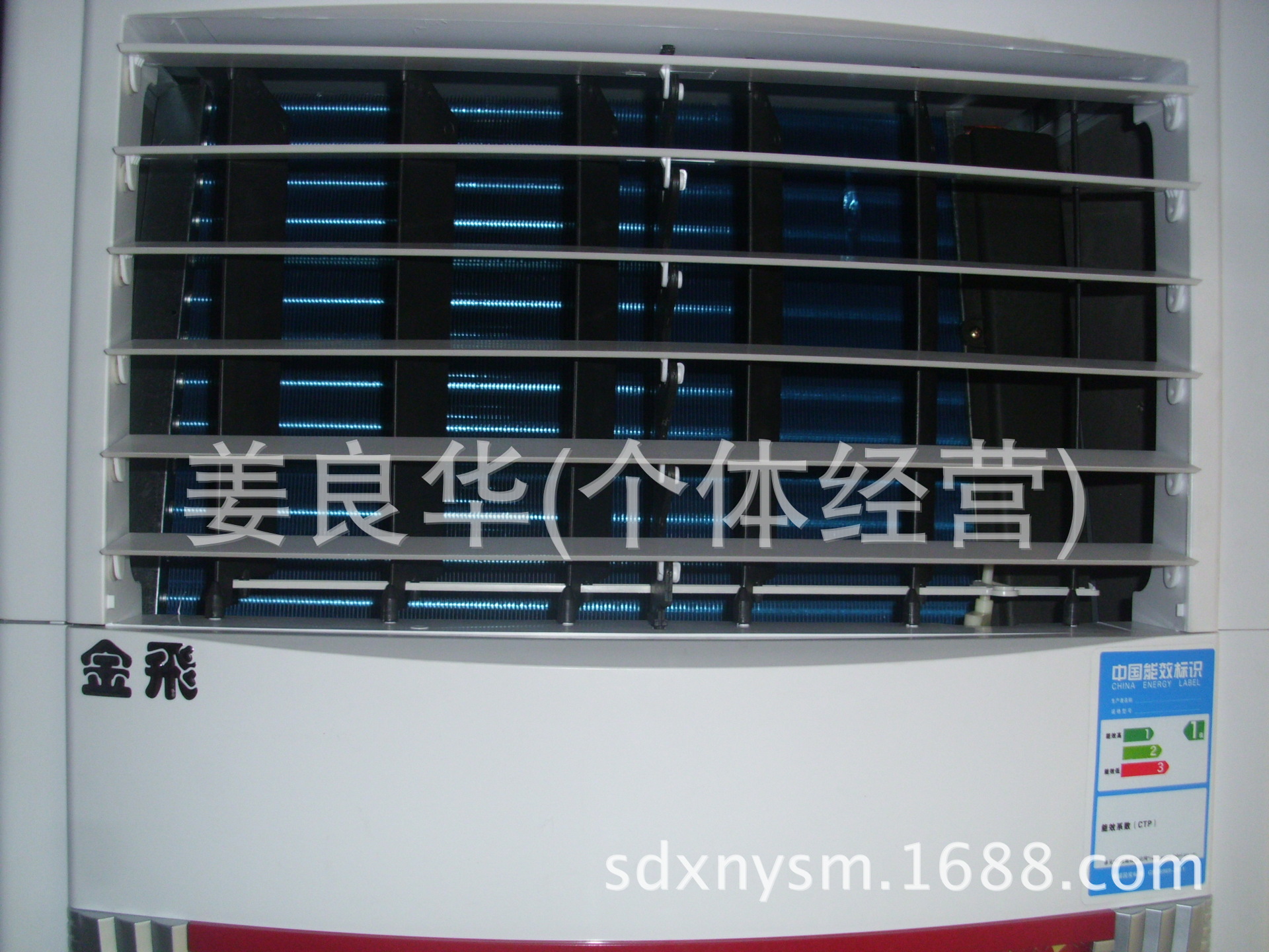 DSCI3348