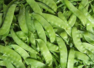 浙江嘉兴新鲜荷兰豆批发产地直销最低1i斤13.