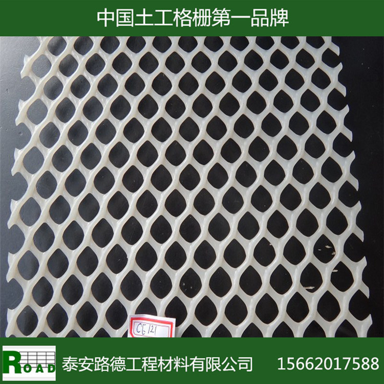 【包检测】厂家大量供应PE塑料土工网,海岸工程用土工网