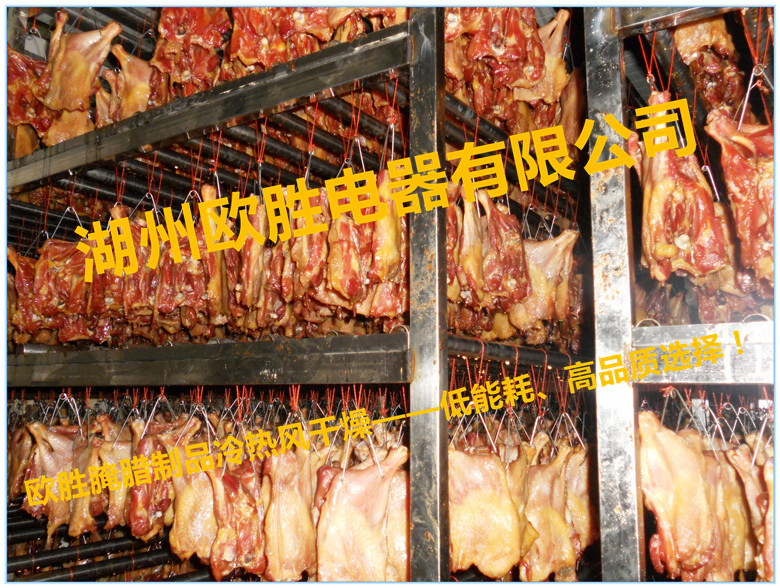 腊鸡腿冷热风干燥机01