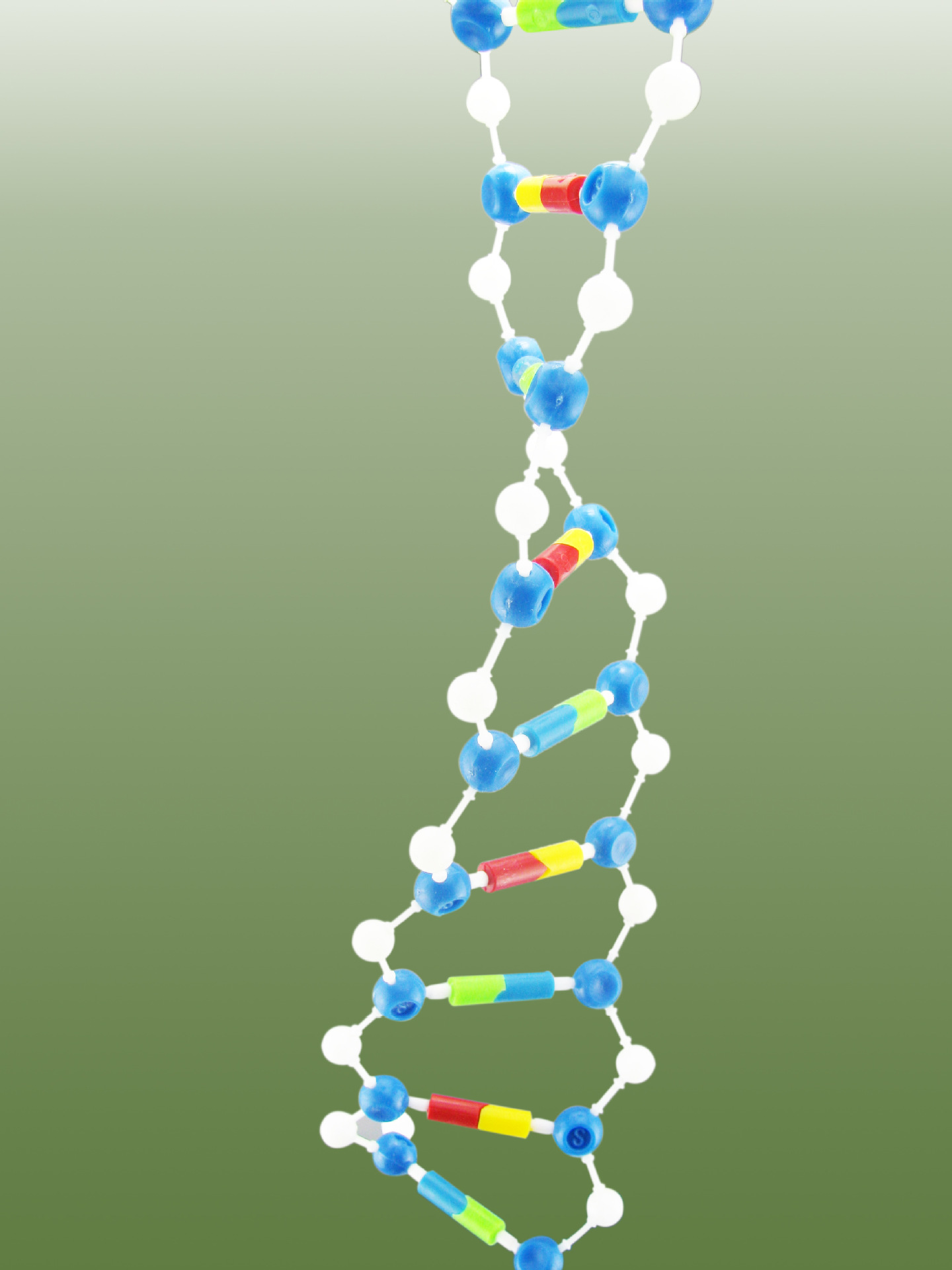 dna双螺旋分子结构模型组件