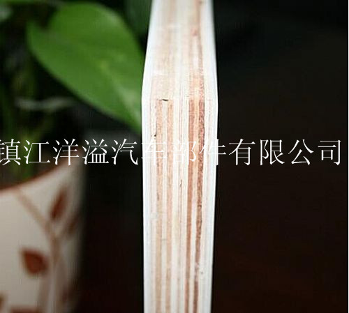 玻璃钢胶合板2