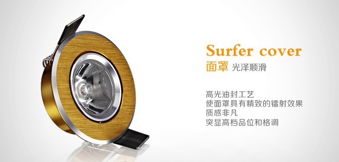 1W金细节5