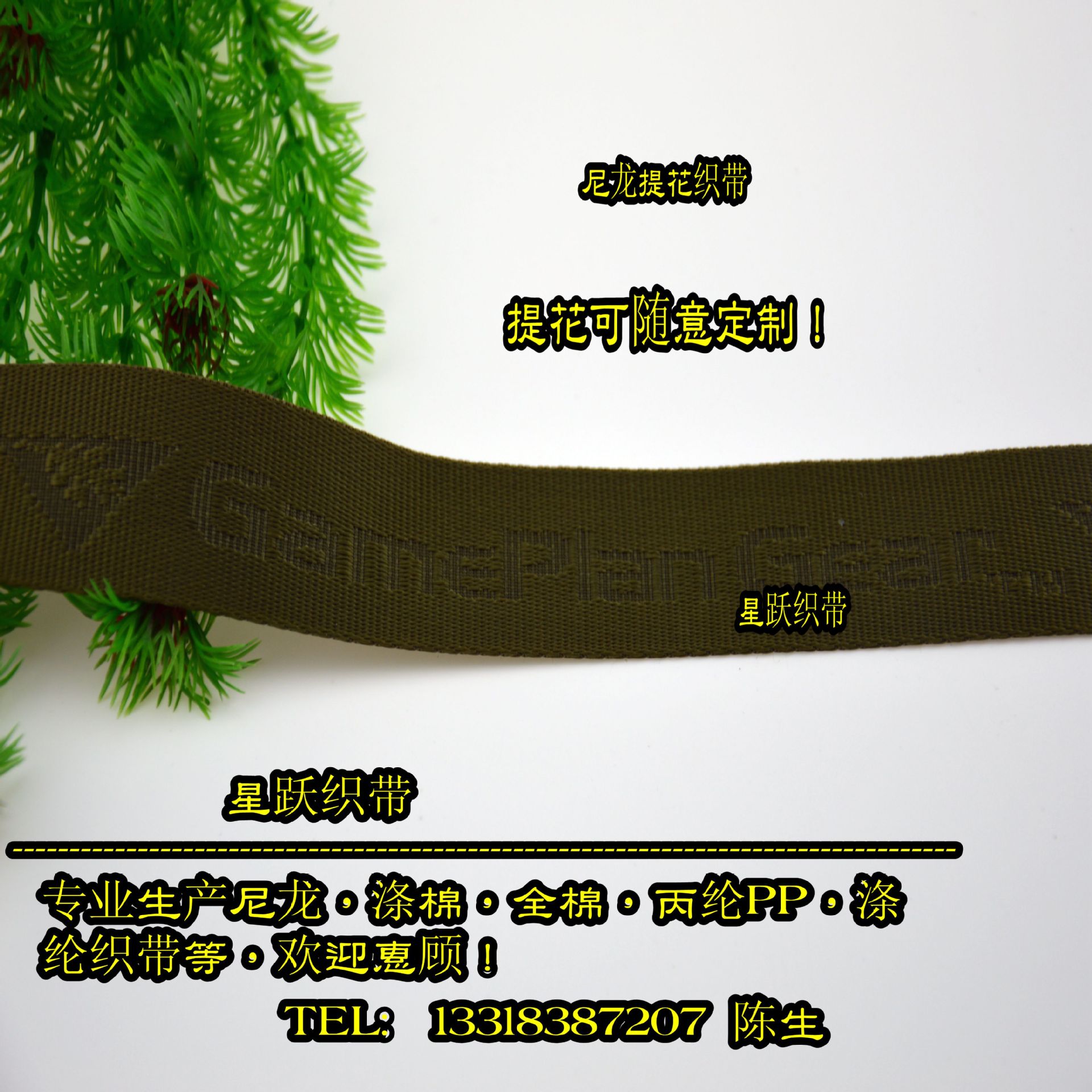 DSC_0003_副本_副本