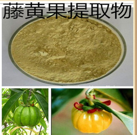 供应纯天然植物提取减肥原料羟基柠檬酸含量60 藤黄果提取物