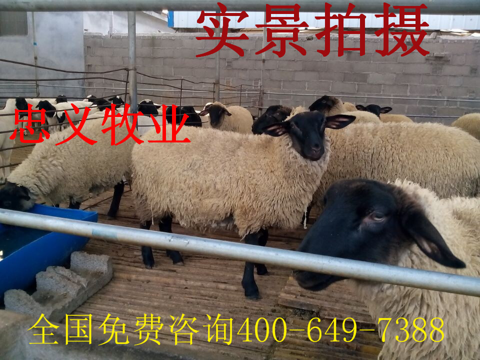 QQ图片20141109170019