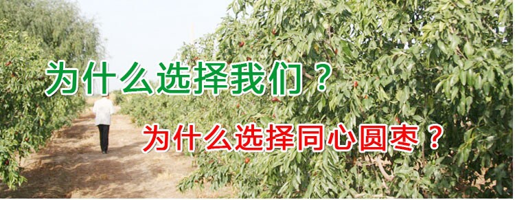 为什么