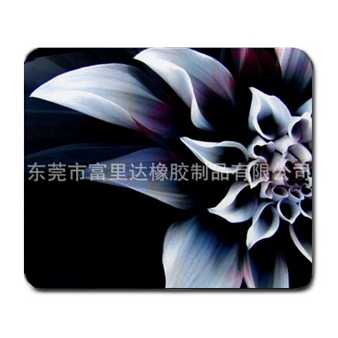 $(KGrHqR,!lwE2FvOfku-BNtcG(frB