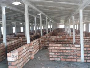 玻璃钢保温猪舍建造设计