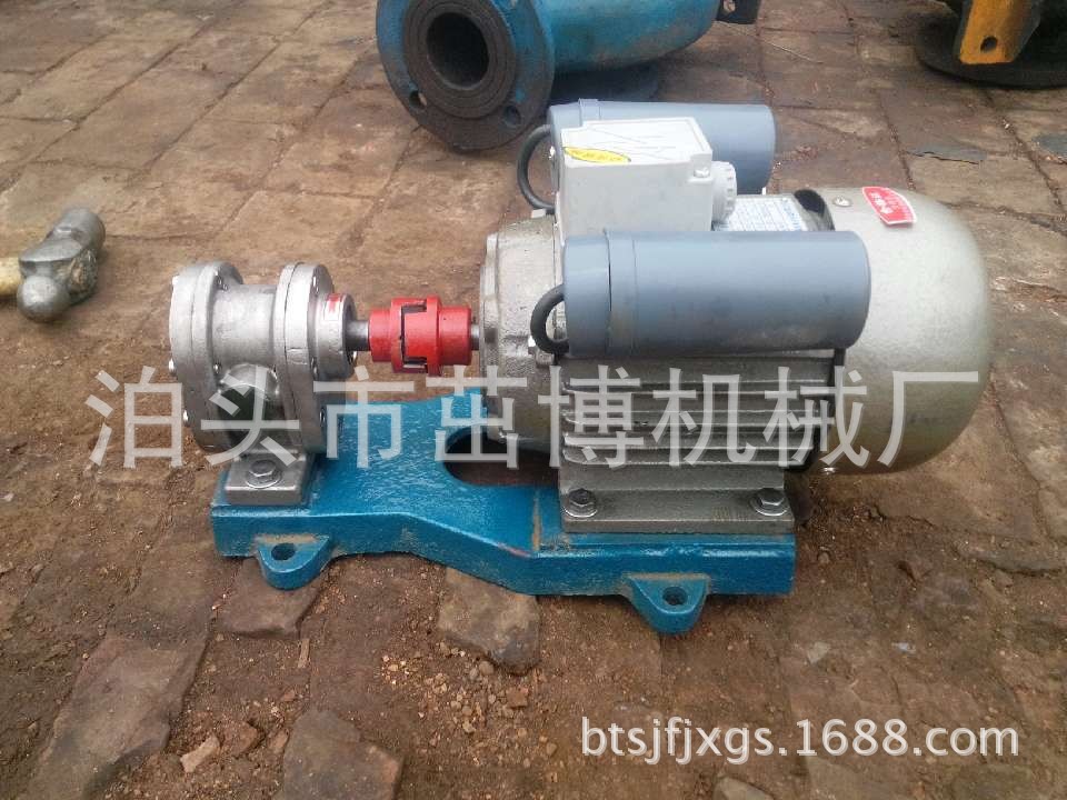 F0.36不锈钢齿轮泵2