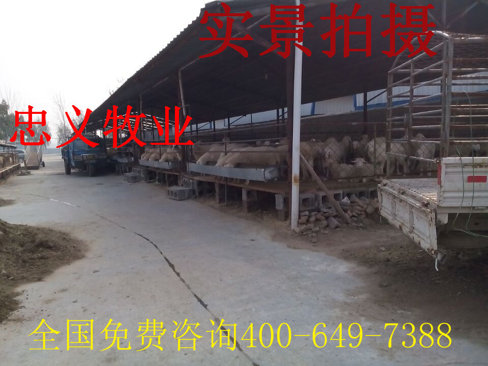 QQ图片20141109165943