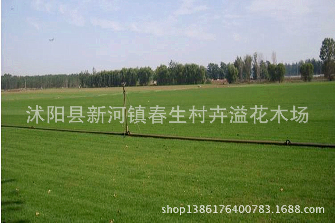 360截图20140302165154468_副本