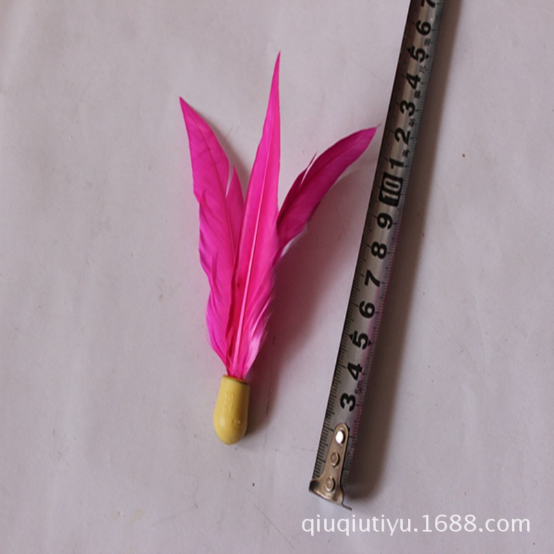 羽飞板羽?6