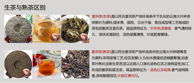 生茶与熟茶的区别