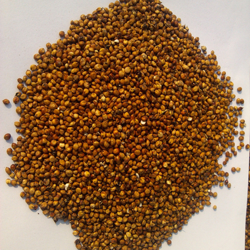 1770931892_600238606_副本