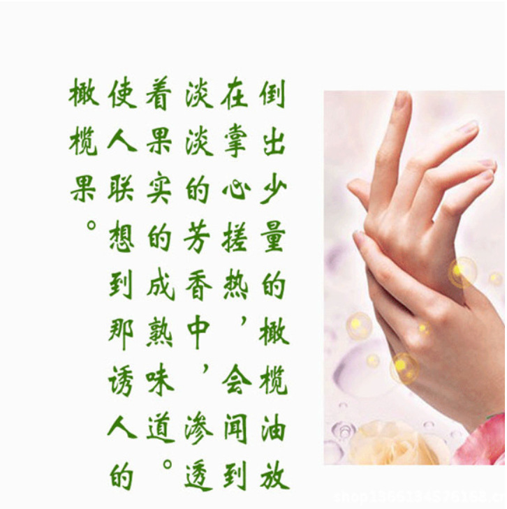 橄欖油 希臘阿格利司特級初榨橄欖油 食用油批發(fā)