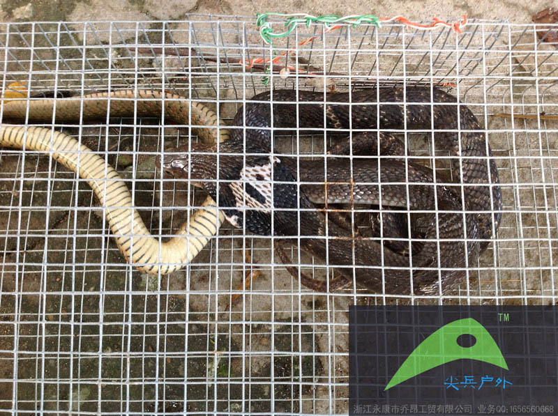 批发捕蛇笼养蛇笼诱蛇笼具抓蛇笼网专业捕蛇器活蛇捕抓工具