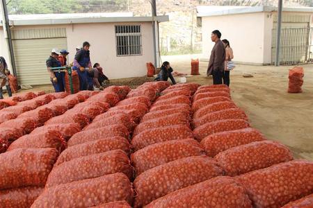 u=3790901795,1375134877&fm=11&