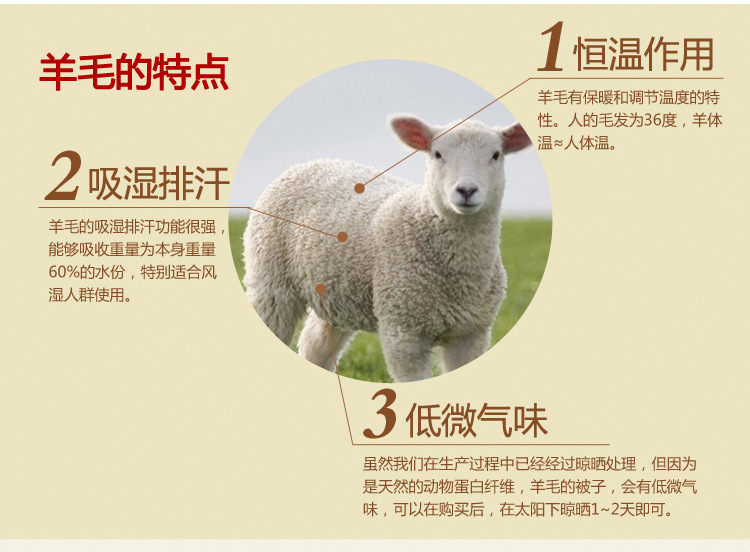暖绒羊毛被芯(1)_04