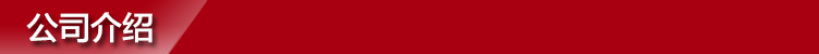 公司介绍