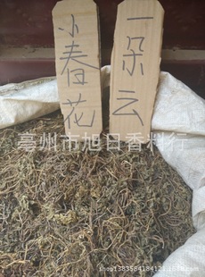 中药材小春花 蛇不见 独脚金鸡 一朵云500g