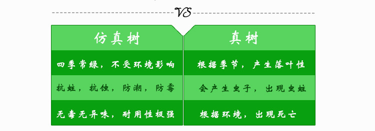 棕榈树_41