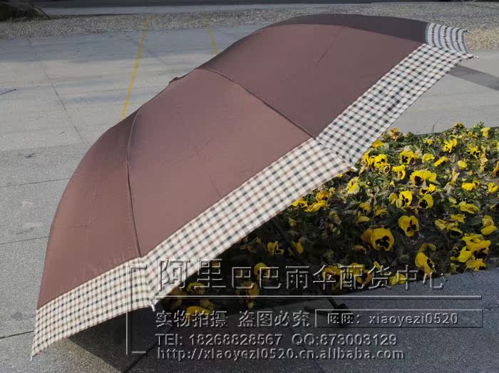 nEO_IMG__DSC0353