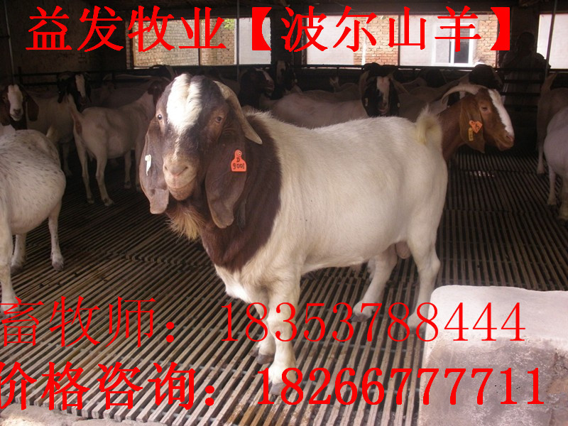 19-37-24-26-11113799_副本