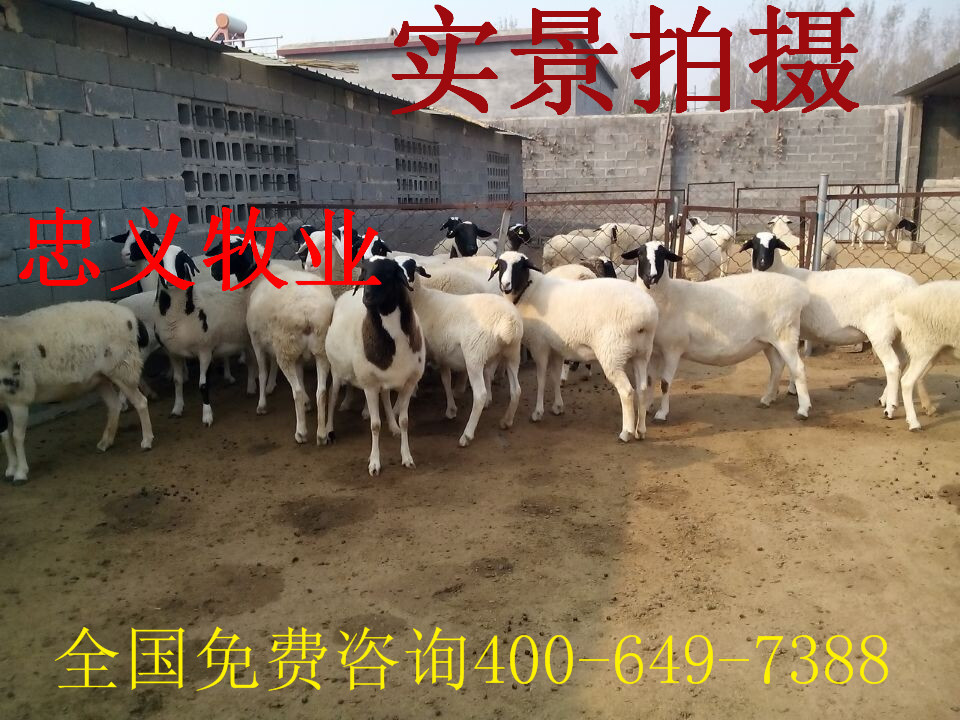 QQ图片20141109165957