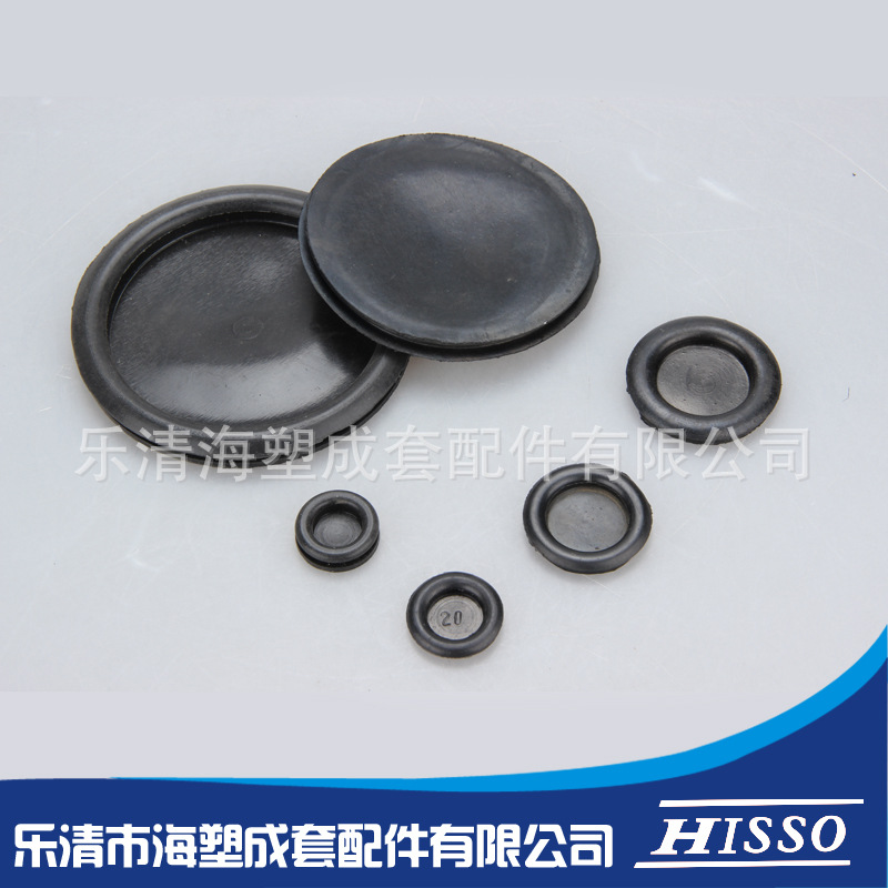 密封圈 (4)