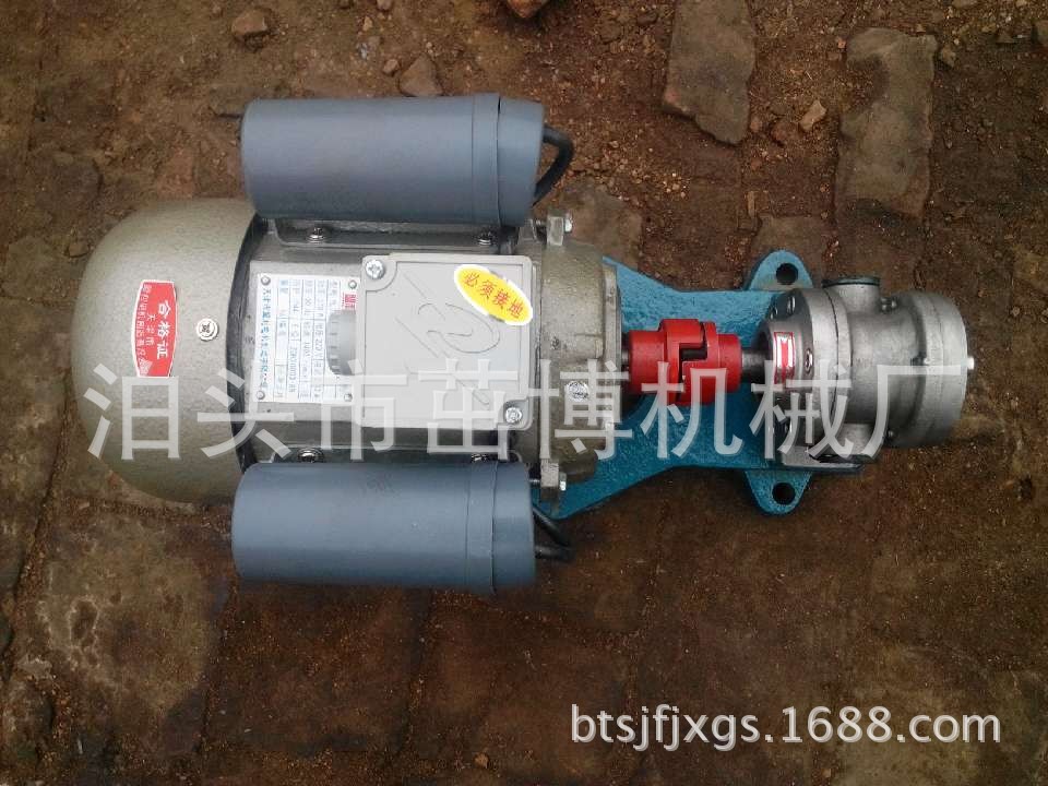 F0.36不锈钢齿轮泵