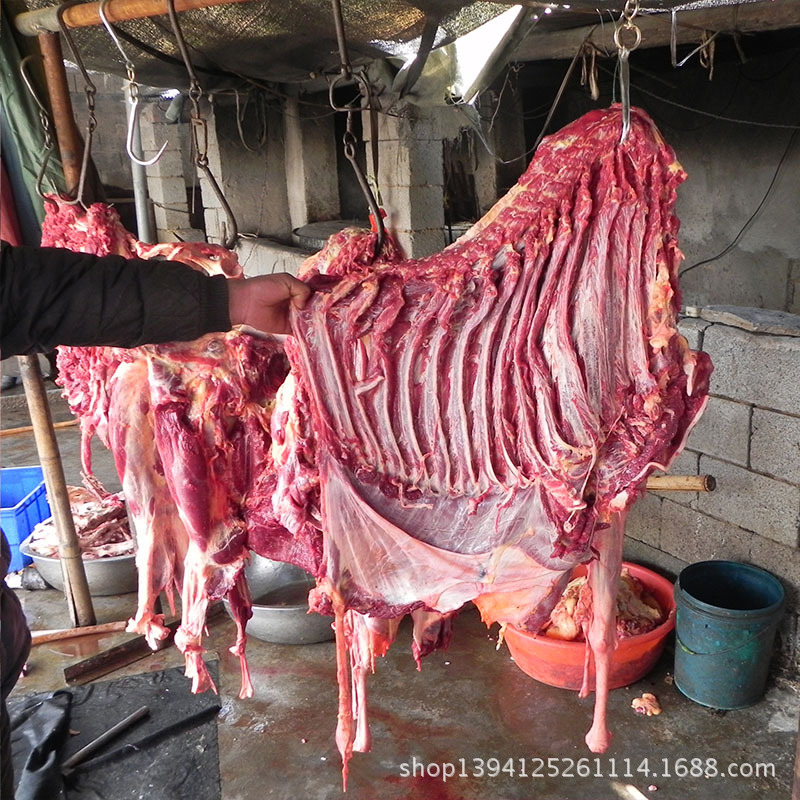 「供应」驴肉批发 驴肉加工厂家供应新鲜驴肉/冷冻驴肉 价格实惠