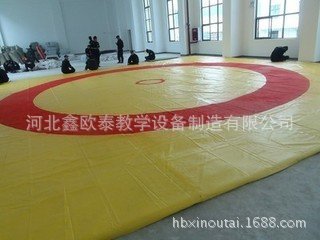 摔跤垫子的盖单2