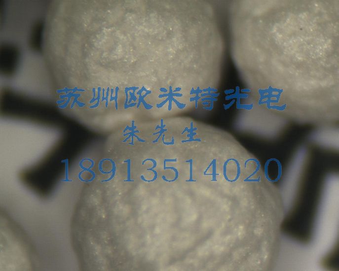 藥材藥品粉末顆粒顯微鏡檢查 (4)