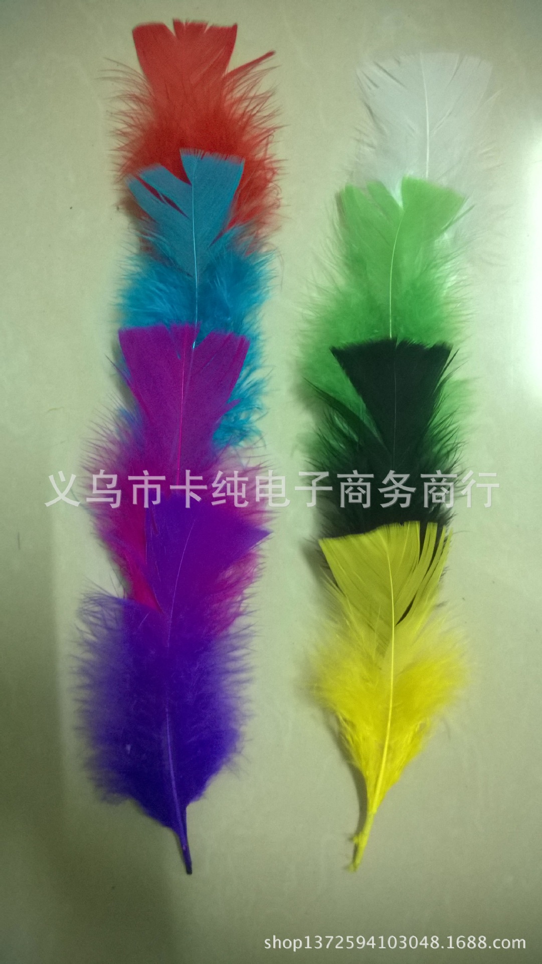 MediaLib_Camera Roll_WP_201404