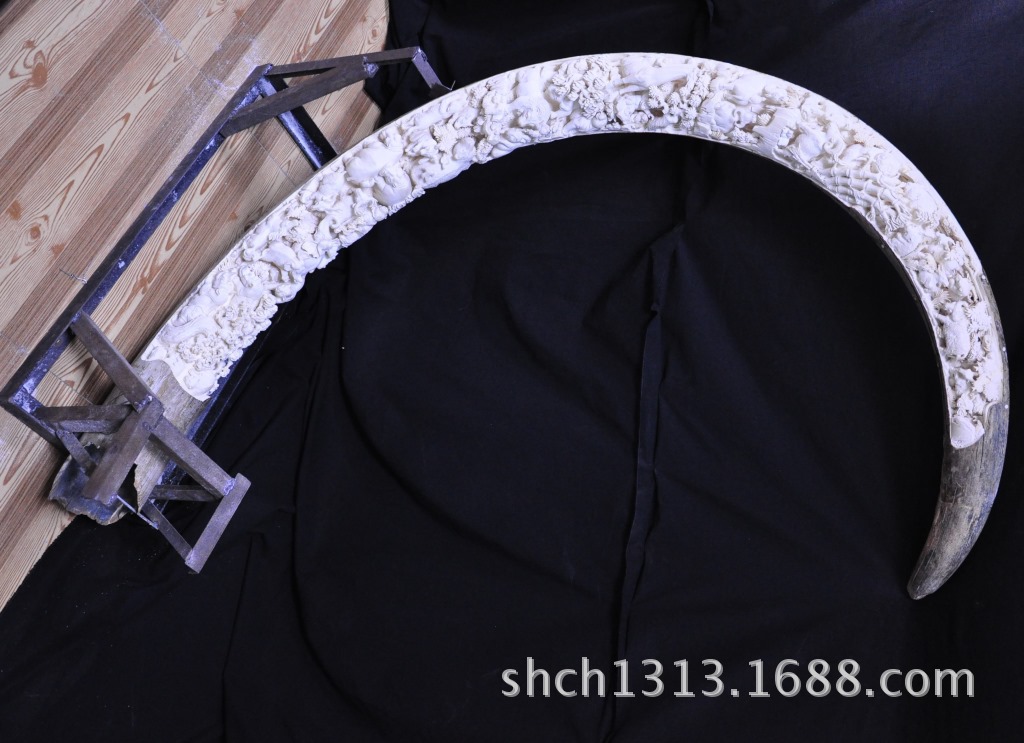 sczz008 ?.45米X15公分。丛林百兽?2? height=