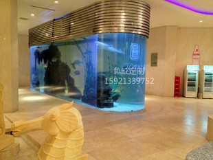 鲨鱼观赏缸 上海市淮海中路亚克力鲨鱼鱼缸 大型海水鱼缸工程