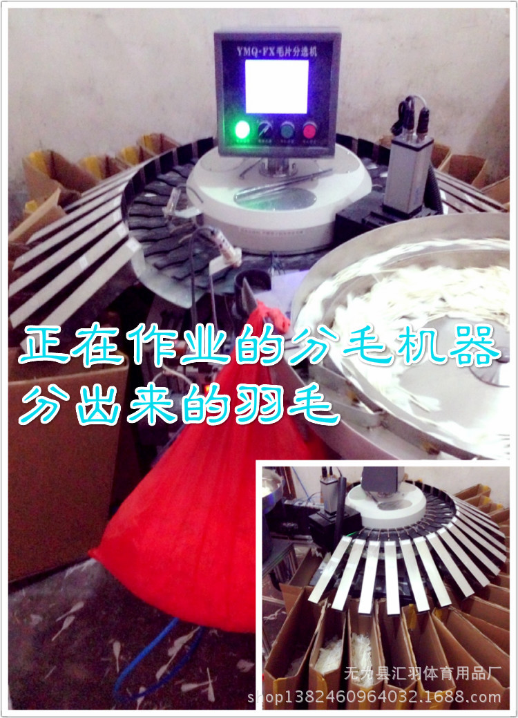 分毛