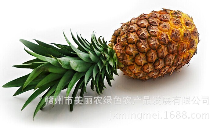 QQ图片20140705153136