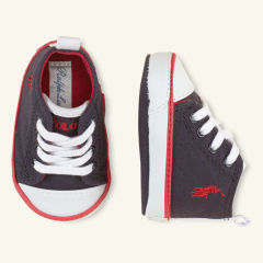 pPOLO2-17971645_standard_t240